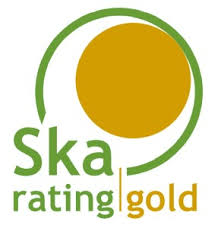 RICS Ska gold logo